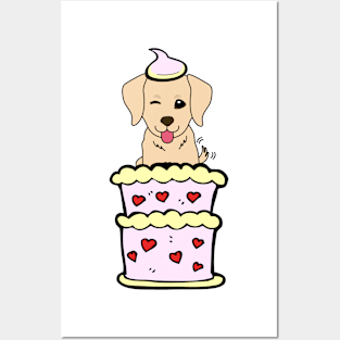 Retriever dog Jumping out of a cake Posters and Art